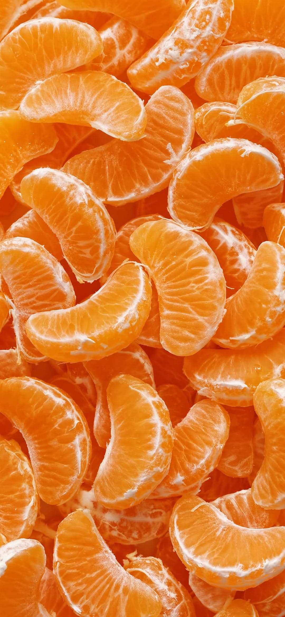 Citrus Segments